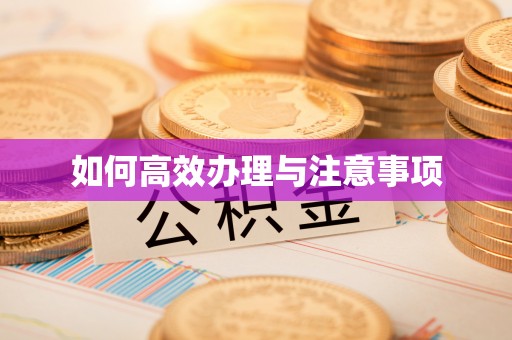 道真如何高效办理与注意事项