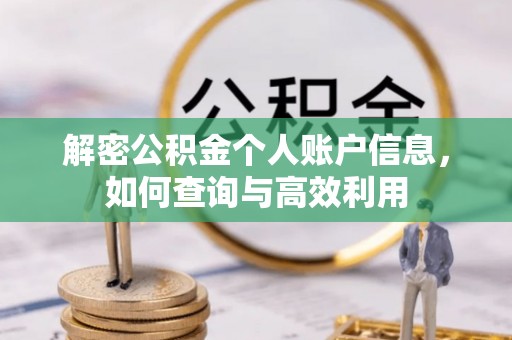 道真解密公积金个人账户信息，如何查询与高效利用