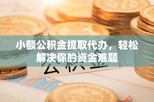 道真小额公积金提取代办，轻松解决你的资金难题