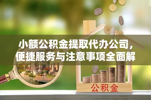 道真小额公积金提取代办公司，便捷服务与注意事项全面解析