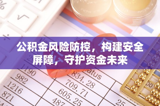 道真公积金风险防控，构建安全屏障，守护资金未来