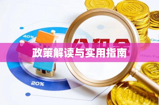 道真政策解读与实用指南