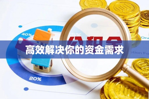 道真高效解决你的资金需求