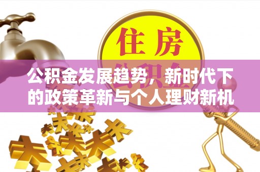 道真公积金发展趋势，新时代下的政策革新与个人理财新机遇