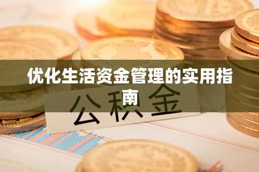 道真优化生活资金管理的实用指南