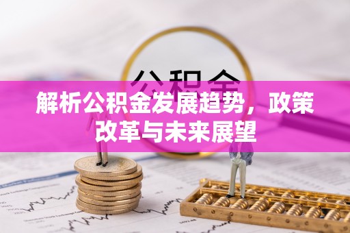 道真解析公积金发展趋势，政策改革与未来展望