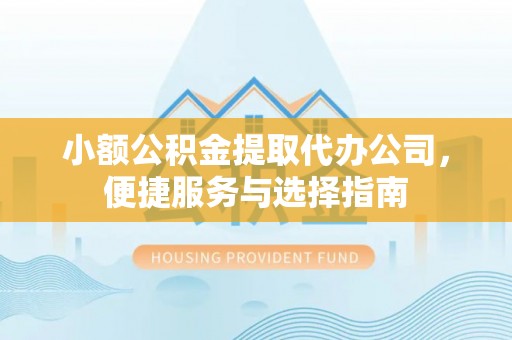 道真小额公积金提取代办公司，便捷服务与选择指南