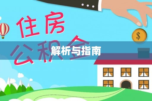 道真解析与指南