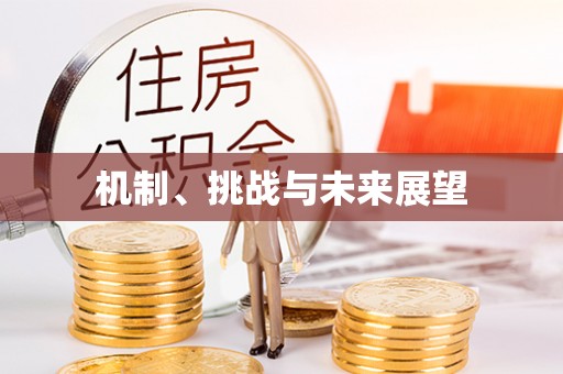 道真机制、挑战与未来展望