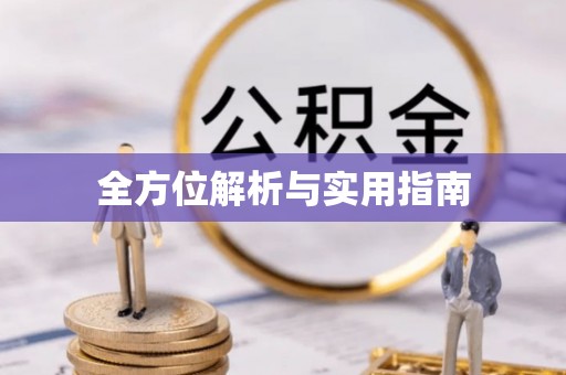 道真全方位解析与实用指南