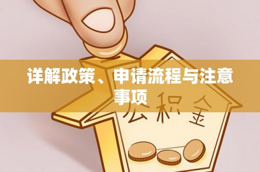 道真详解政策、申请流程与注意事项
