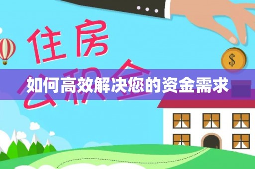 道真如何高效解决您的资金需求