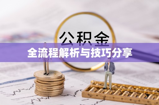 道真全流程解析与技巧分享